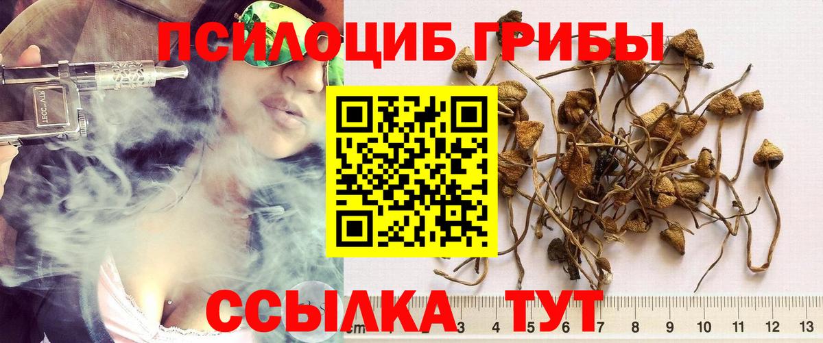 Галлюциногенные грибы прущие грибы  Вход с VPN  Кондопога 