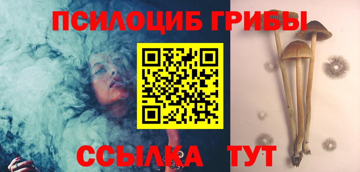 Галлюциногенные грибы мицелий Кондопога